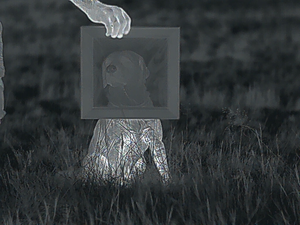 Pro-Line Wärmebildfenster